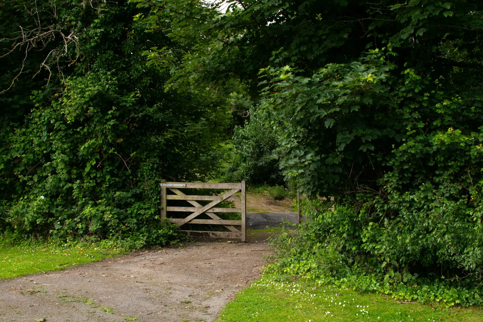 A path through green trees leads to a gate.