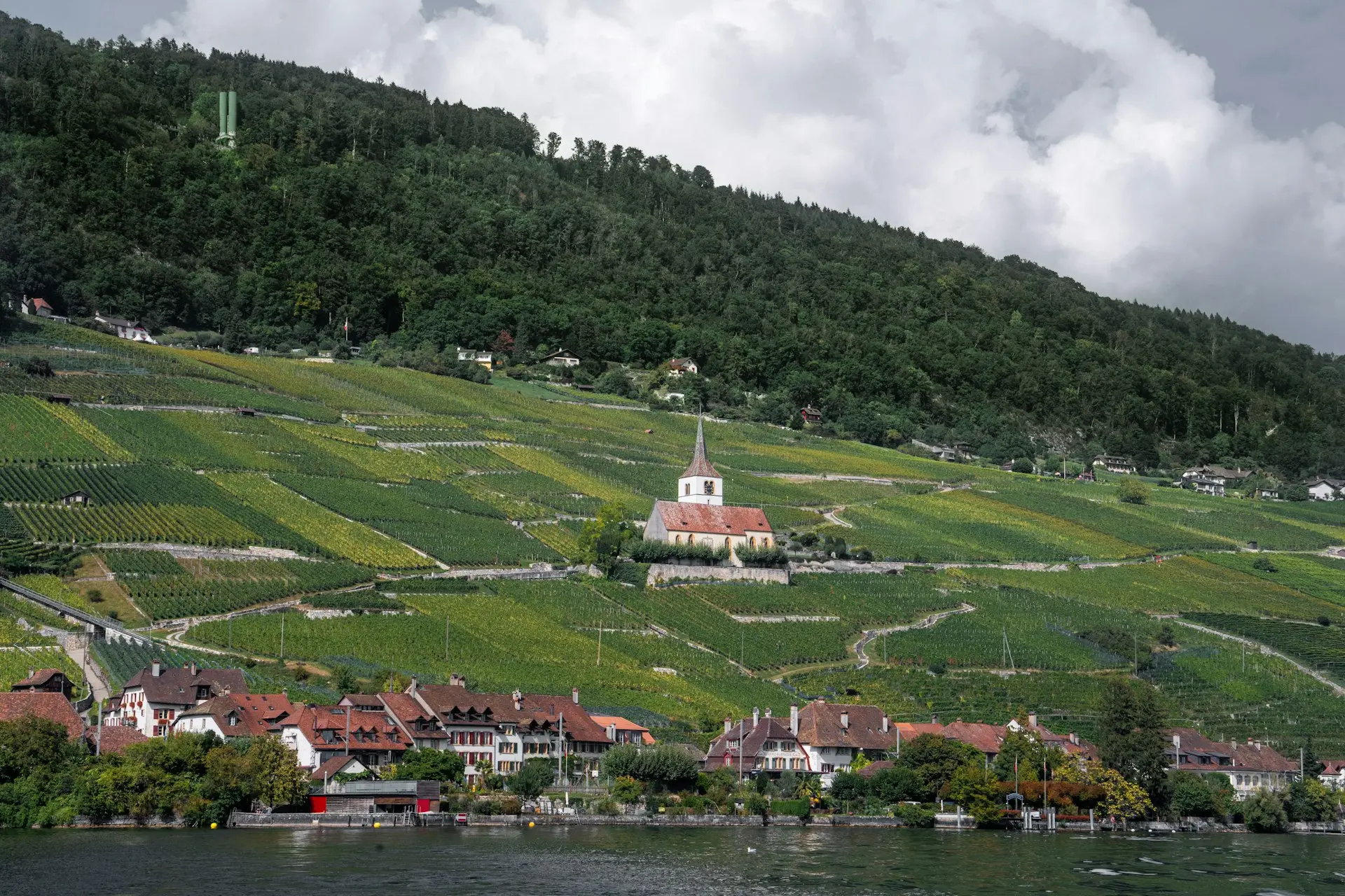 A small village on a hill overlooking a body of water